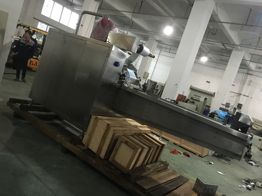 Pillow Automated Packaging Machine , Reciprocating Pharma Packaging Machines